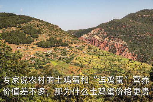 專家說農村的土雞蛋和“洋雞蛋”營養價值差不多，那為什么土雞蛋價格更貴