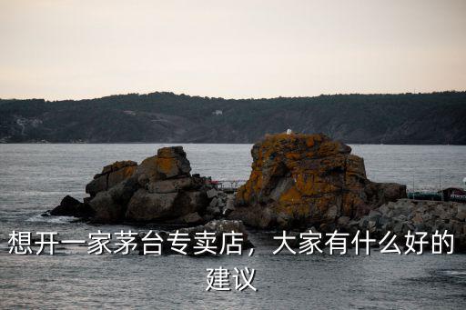 想開一家茅臺專賣店，大家有什么好的建議