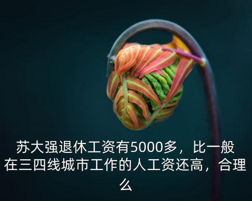 蘇州大學退休工資多少,蘇大強退休工資有5000多