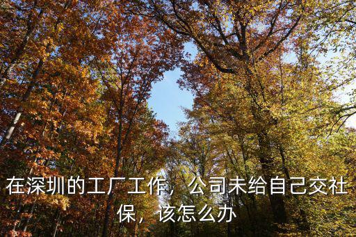 深圳公司不給個人買社保怎么辦,公司未購買社保
