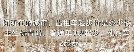 你所在的城市，出租車起步價是多少樓主坐標青島，普通車9塊起步，禮賓車12起步