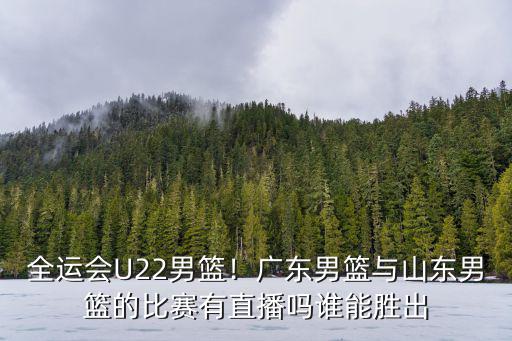 山東u22男籃比分多少,全運會U22男籃
