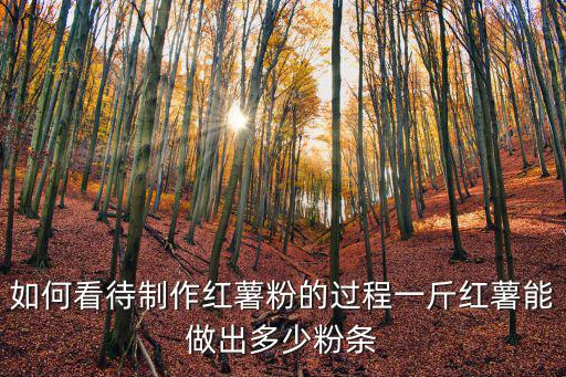 杭州紅薯粉條多少一斤,一斤紅薯能做出多少粉條