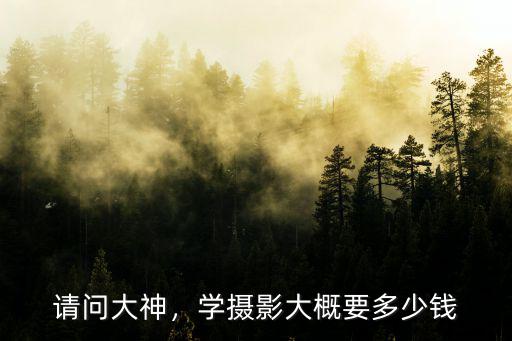 請問大神，學攝影大概要多少錢