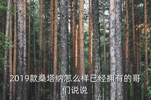 深圳19款桑塔納優(yōu)惠多少,2019款桑塔納怎么樣