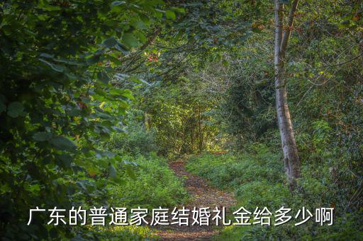 廣東的普通家庭結婚禮金給多少啊