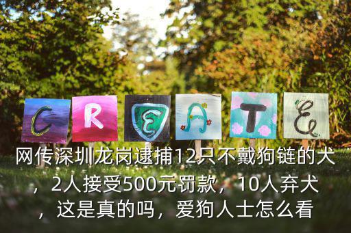 深圳遛狗不牽繩怎么罰,深圳遛狗不栓繩無人管理