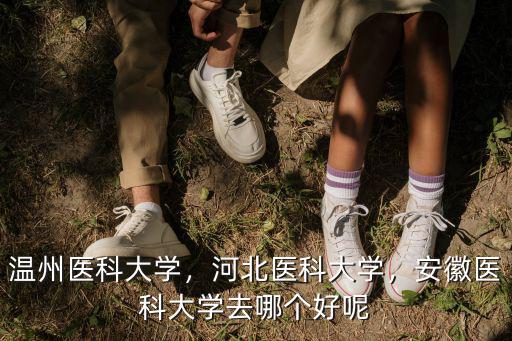 溫州醫科大學，河北醫科大學，安徽醫科大學去哪個好呢