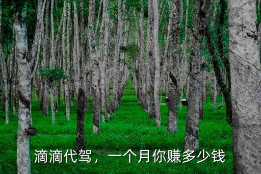 揚州代駕一個月多少錢一天,一個月究竟能賺多少錢