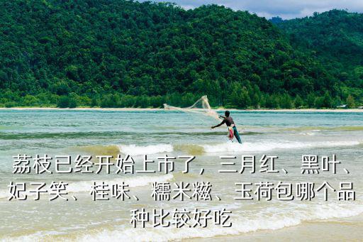 荔枝已經開始上市了，三月紅、黑葉、妃子笑、桂味、糯米糍、玉荷包哪個品種比較好吃