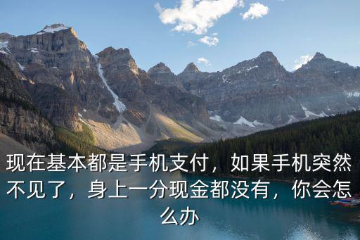 現(xiàn)在基本都是手機(jī)支付，如果手機(jī)突然不見了，身上一分現(xiàn)金都沒有，你會(huì)怎么辦