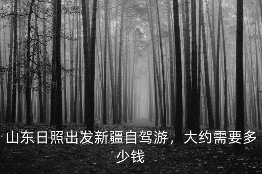 山東日照出發新疆自駕游，大約需要多少錢