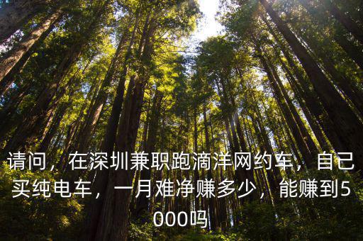 深圳電動網約車一天流水多少,在深圳兼職跑滴洋網約車