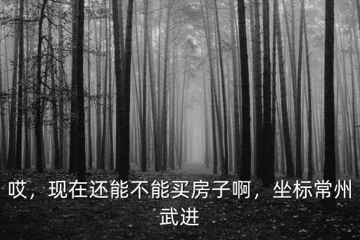 哎，現在還能不能買房子啊，坐標常州武進