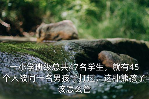 深圳新生小學招多少名學生,一小學班級總共47名學生