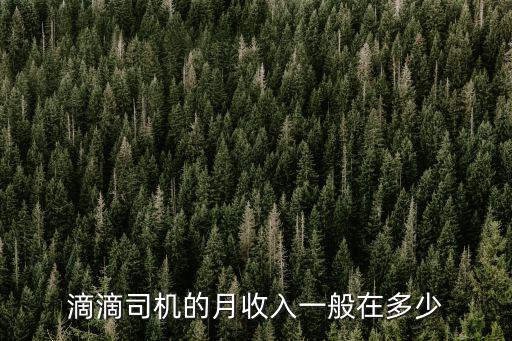 滴滴司機的月收入一般在多少
