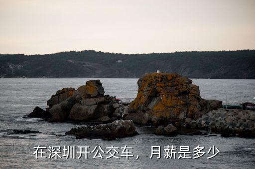 在深圳開公交車，月薪是多少