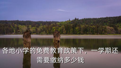 各地小學的免費教育政策下，一學期還需要繳納多少錢