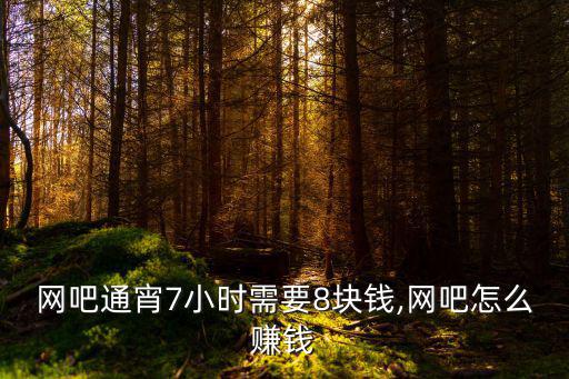 衢州網吧通宵多少錢,網吧通宵7小時需要8塊錢