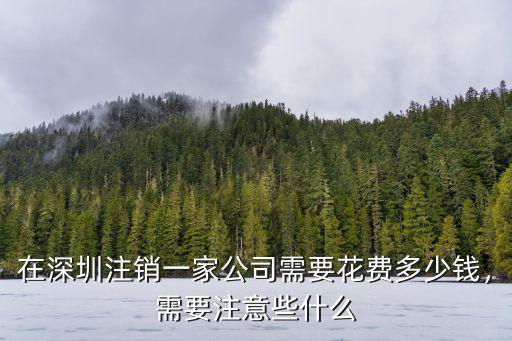 深圳公司注銷完要多少錢,深圳營業執照注銷