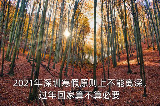 深圳每年多少人回家過年,今年回家過年嗎