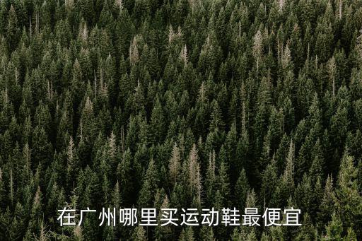 在廣州哪里買運動鞋最便宜