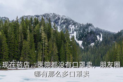 現在藥店、醫院都沒有口罩賣，朋友圈哪有那么多口罩賣