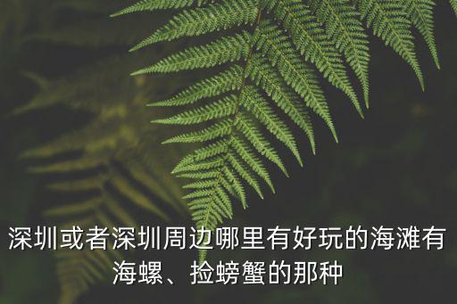 深圳或者深圳周邊哪里有好玩的海灘有海螺、撿螃蟹的那種