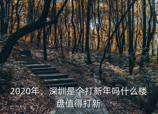 深圳樓盤打新可以便宜多少,深圳是個打新年嗎