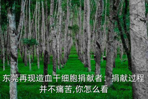 東莞再現造血干細胞捐獻者：捐獻過程并不痛苦,你怎么看