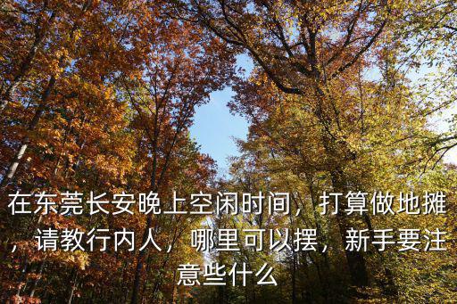 東莞東坑擺攤在哪里,東莞晚上在哪里擺地攤比較好
