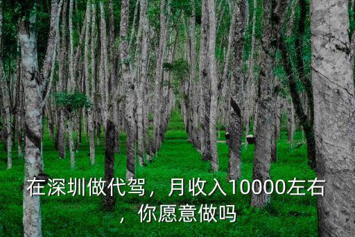 準(zhǔn)備在深圳跑e代駕怎么樣,在深圳做代駕