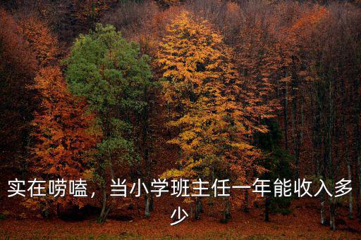 實在嘮嗑，當小學(xué)班主任一年能收入多少