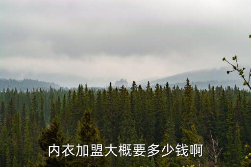 內衣加盟大概要多少錢啊