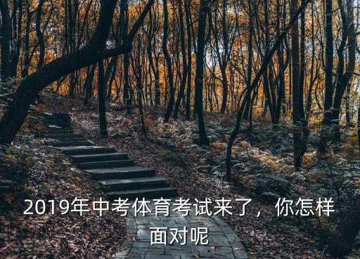2019年深圳中考體育怎么報名時間,如何看待深圳中考體育不取消
