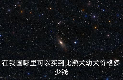 揚(yáng)州比熊多少錢可以買到,幼犬價(jià)格多少錢