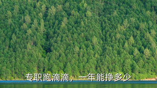 專職跑滴滴，一年能掙多少
