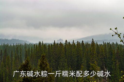 廣東包粽子多少錢一斤,自已在家包粽子