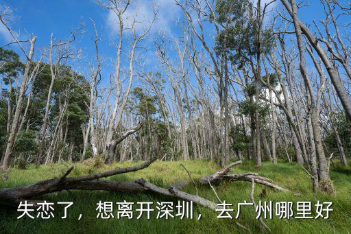 廣州失戀哪里玩,去廣州哪里好