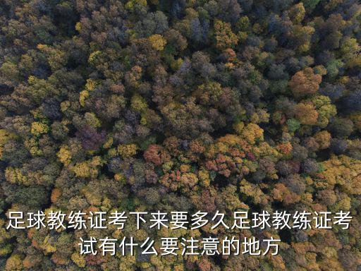 東莞足球教練證在哪里考,足球教練證怎么考