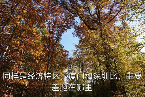 同樣是經濟特區，廈門和深圳比，主要差距在哪里