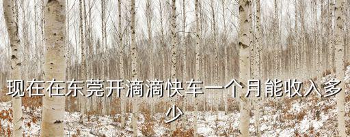 現(xiàn)在在東莞開(kāi)滴滴快車一個(gè)月能收入多少