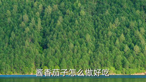 廣州人喜歡怎么做茄子,醬香茄子怎么做好吃