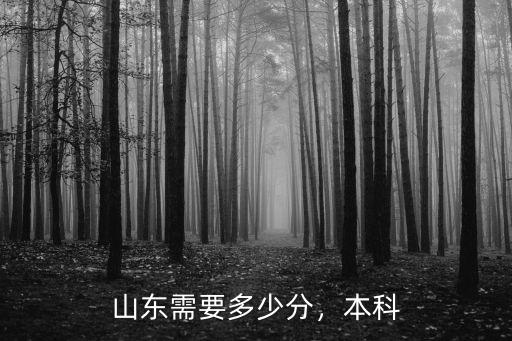 山東需要多少分，本科