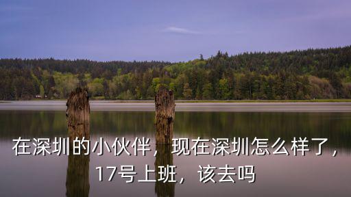 在深圳的小伙伴，現(xiàn)在深圳怎么樣了，17號(hào)上班，該去嗎