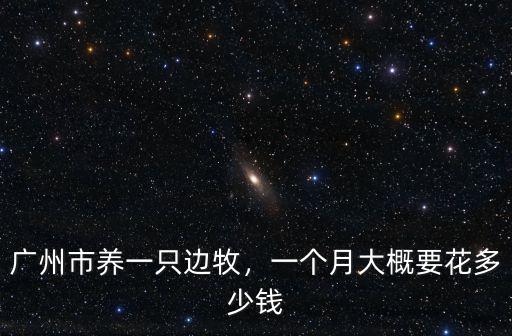 廣州市養(yǎng)一只邊牧，一個(gè)月大概要花多少錢