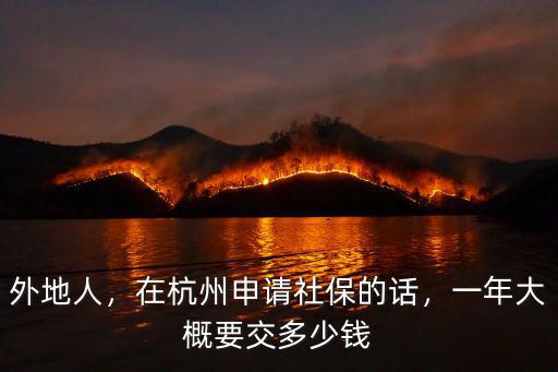 外地人，在杭州申請社保的話，一年大概要交多少錢