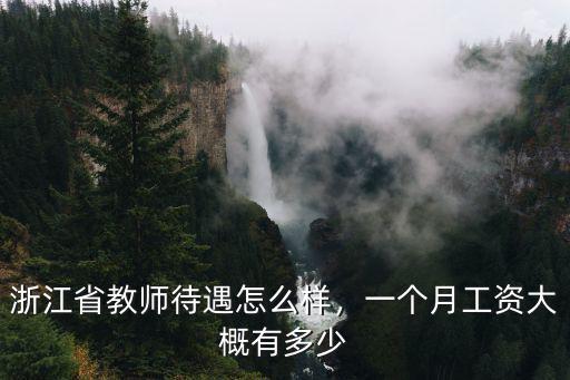 寧波在編教師工資一個月多少錢,浙江省教師待遇怎么樣