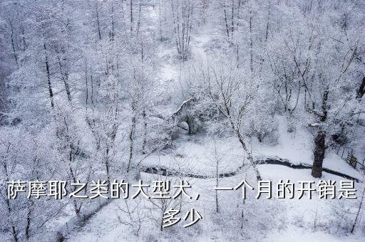 杭州薩摩耶犬電話多少錢,純種薩摩耶多少錢