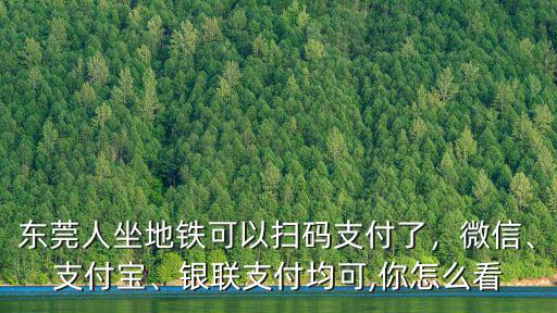 東莞怎么用微信支付公交卡,在東莞買地鐵票可用微信